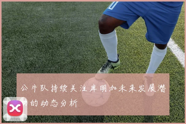 公牛队持续关注库明加未来发展潜力的动态分析